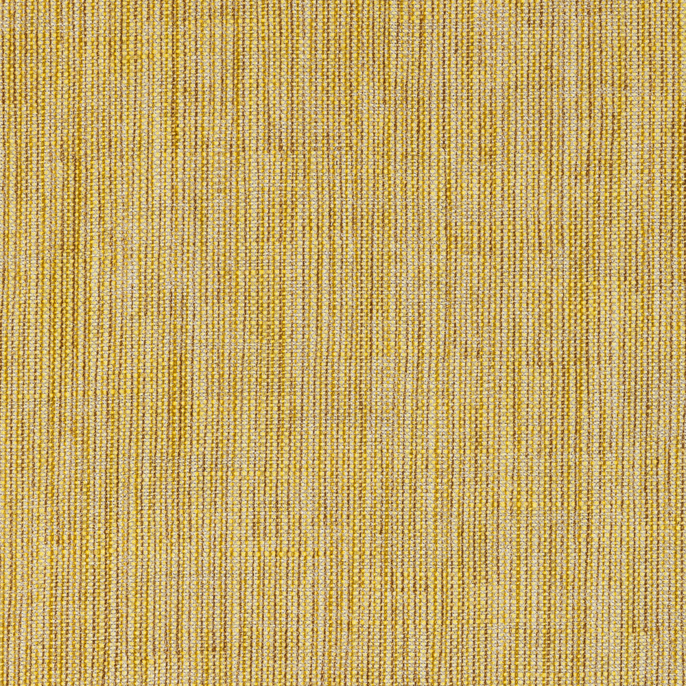 Carskiey Plain CARS-012