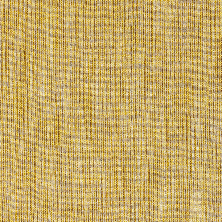 Carskiey Plain CARS-012