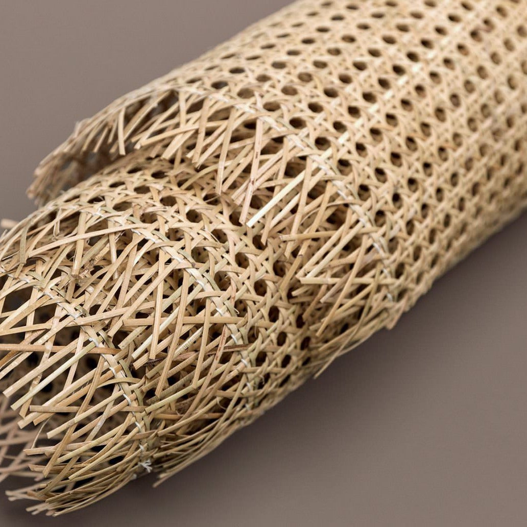 Palm Tree - Canning, Natural