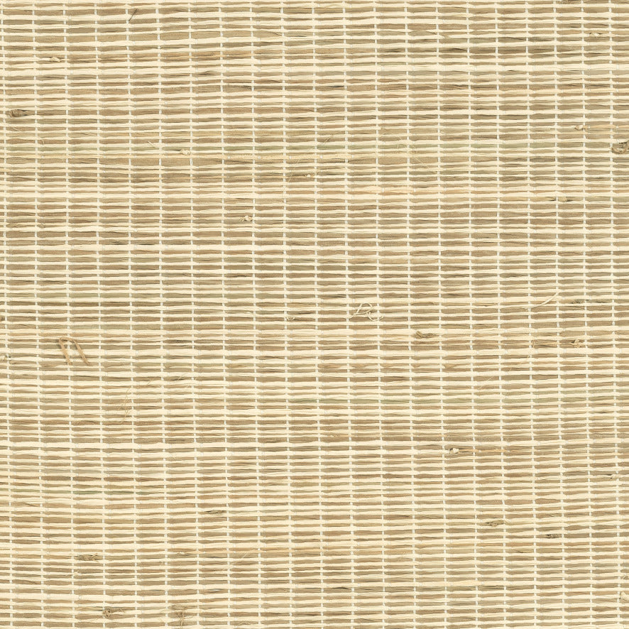 Raffia II - Small Tortoise, Natural