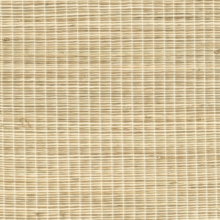 Raffia II - Small Tortoise, Natural