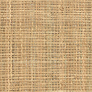 Raffia II - Natural Raffia, Raw
