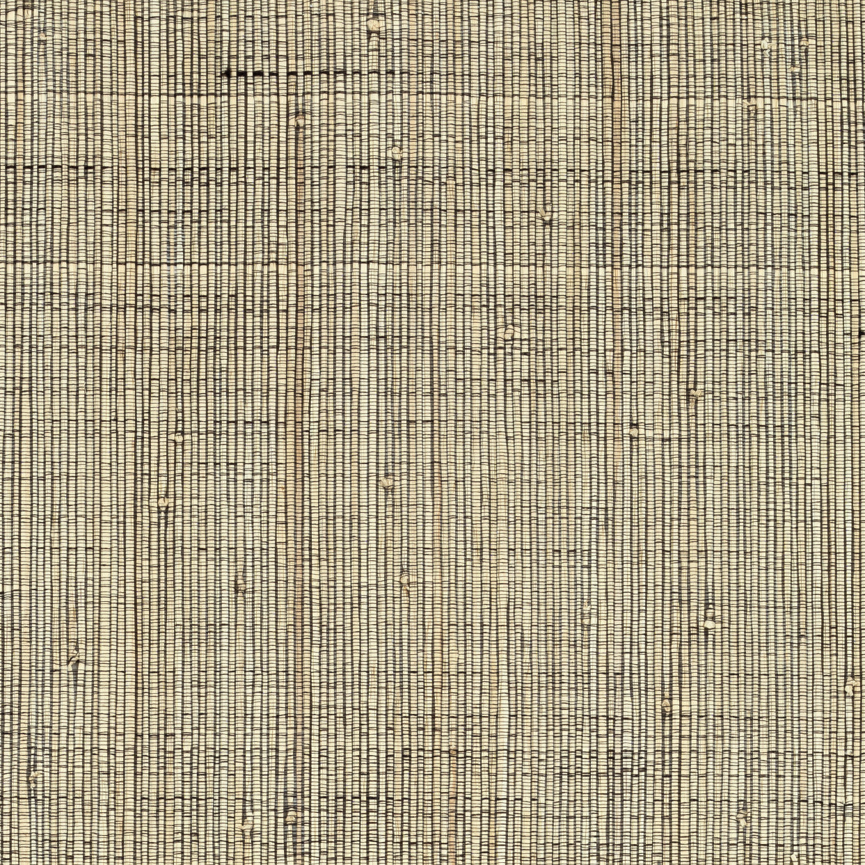 Mixed Raffia - Raffia Silk, Natural