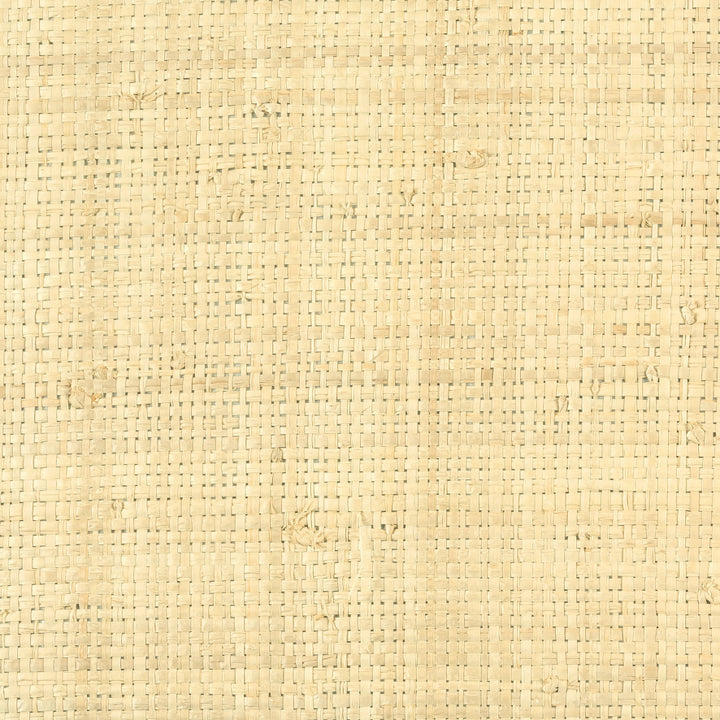 Raffia Mural 2 - Pure Raffia, Pure Natural