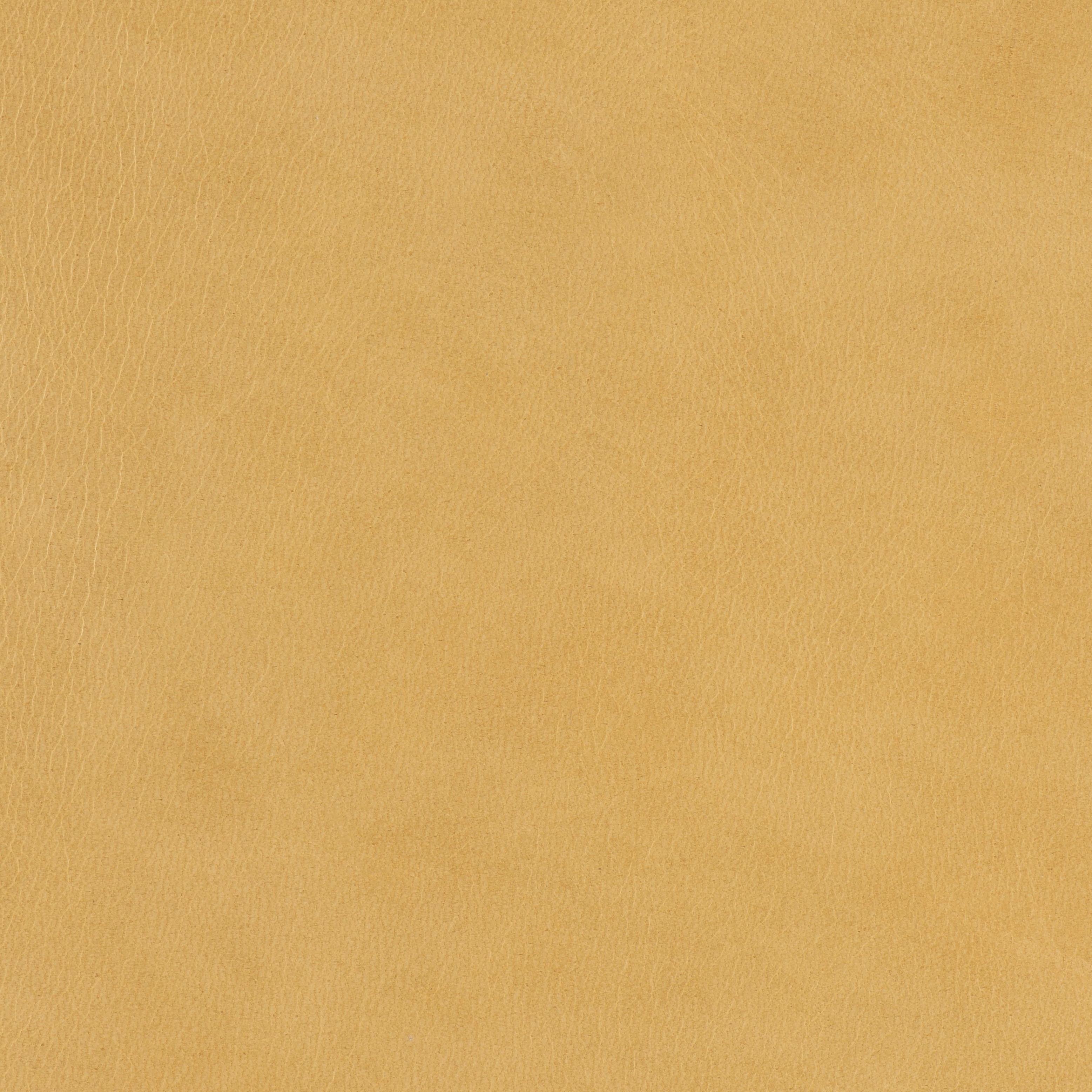 City Slickers - Camel