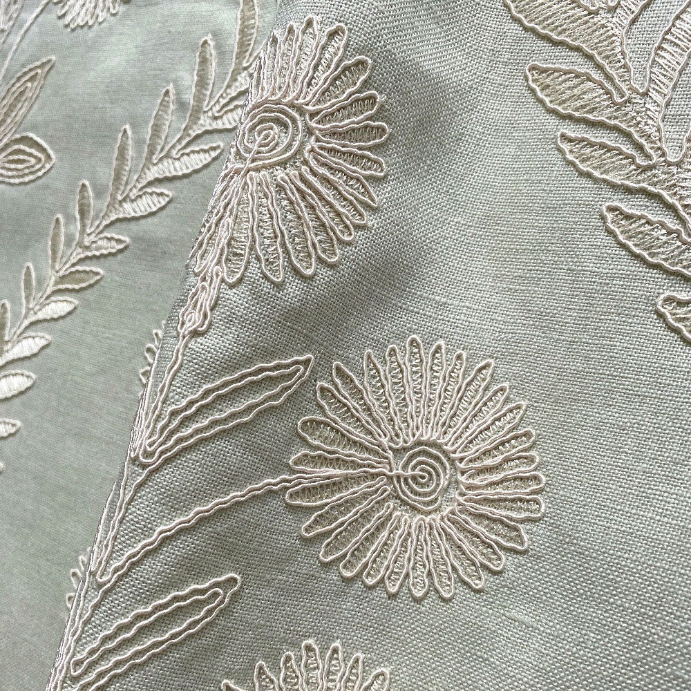 Persian Daisy - Celadon