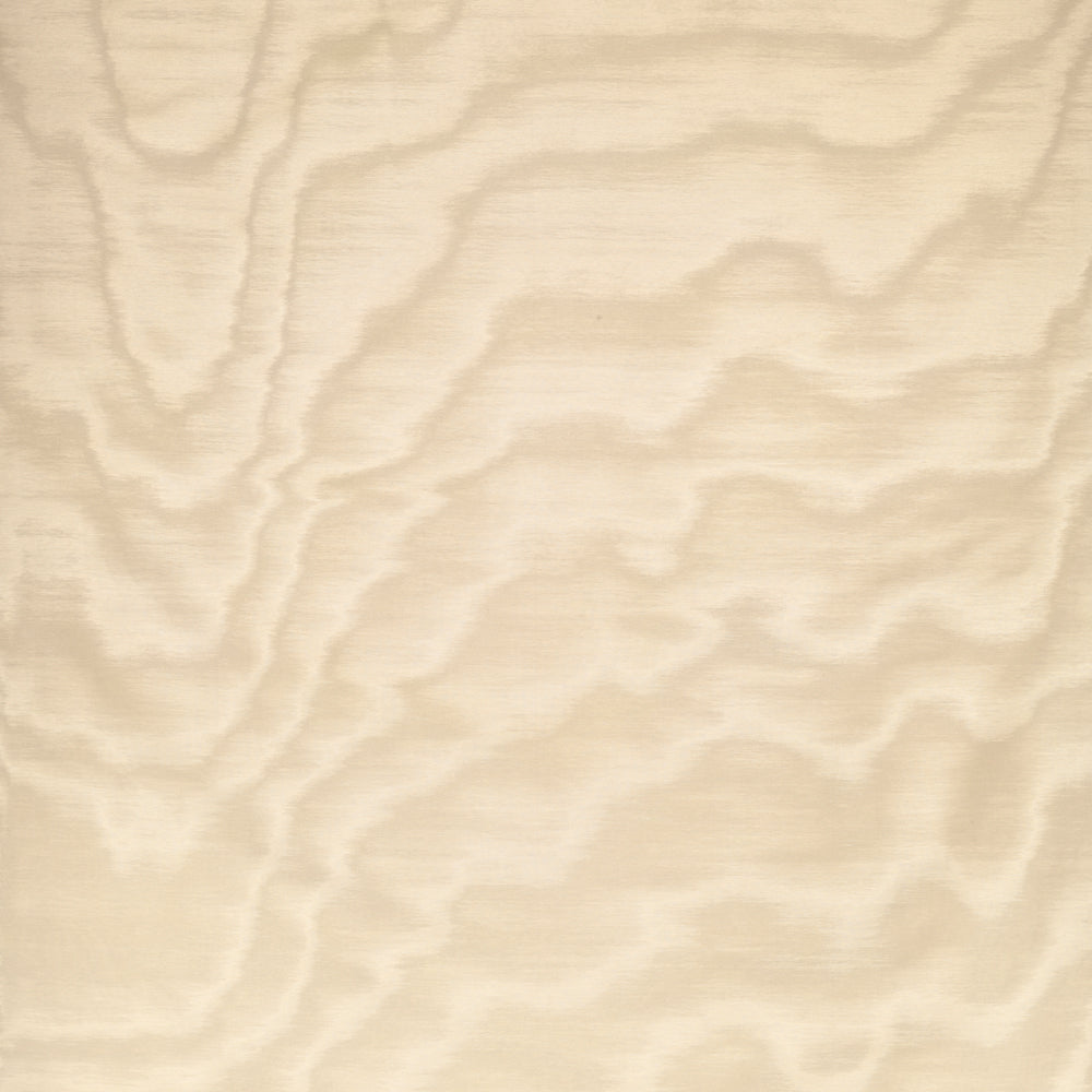 Amoir Fou Wallcovering  - Avorio