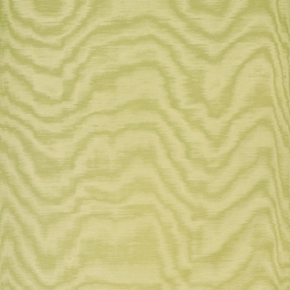 Amoir Fou Wallcovering  - Anice