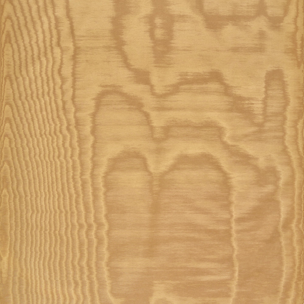 Amoir Fou Wallcovering  - Toffee