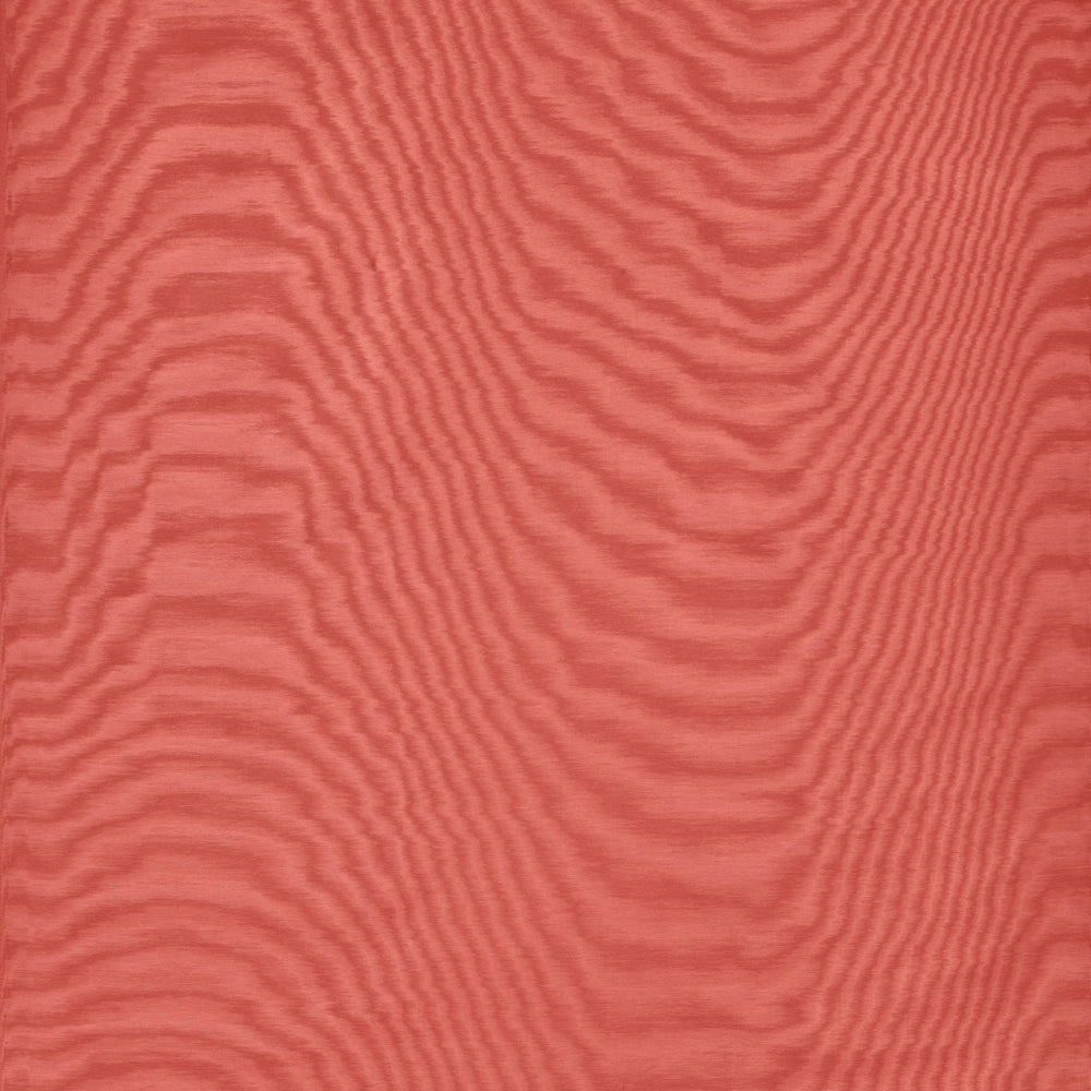 Amoir Fou Wallcovering  - Corallo