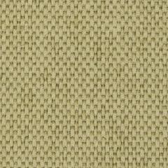 Chaine - Deep Willow