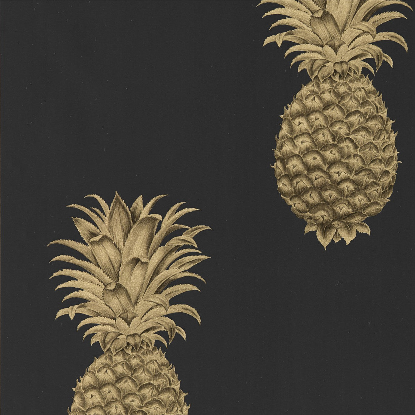 Pineapple Royale - Graphite / Gold