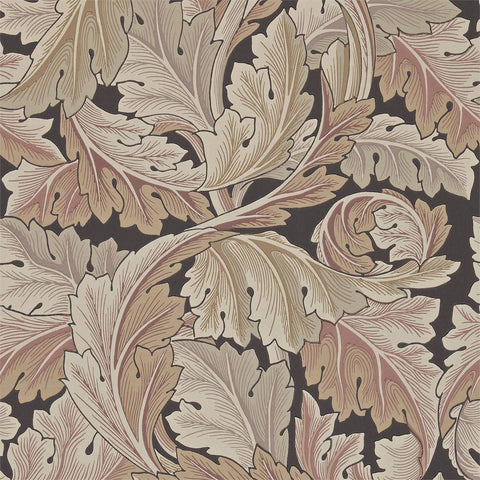 Acanthus - Terracotta