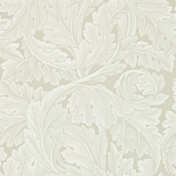 Acanthus - Chalk