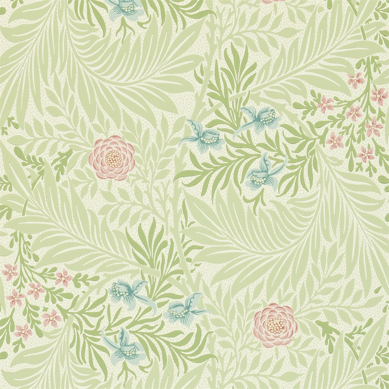Larkspur - Green / Coral