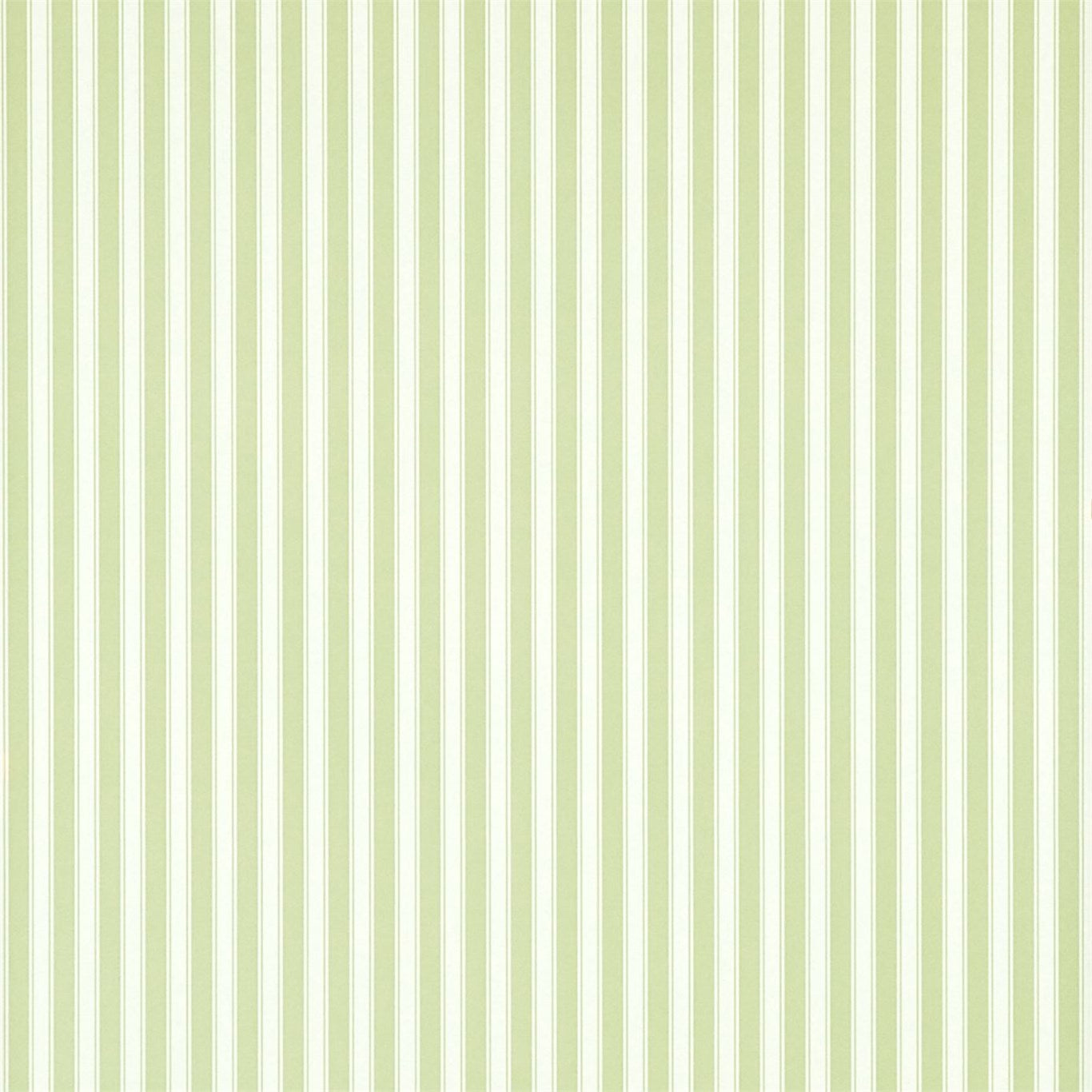 New Tiger Stripe - Leaf Green / Ivory