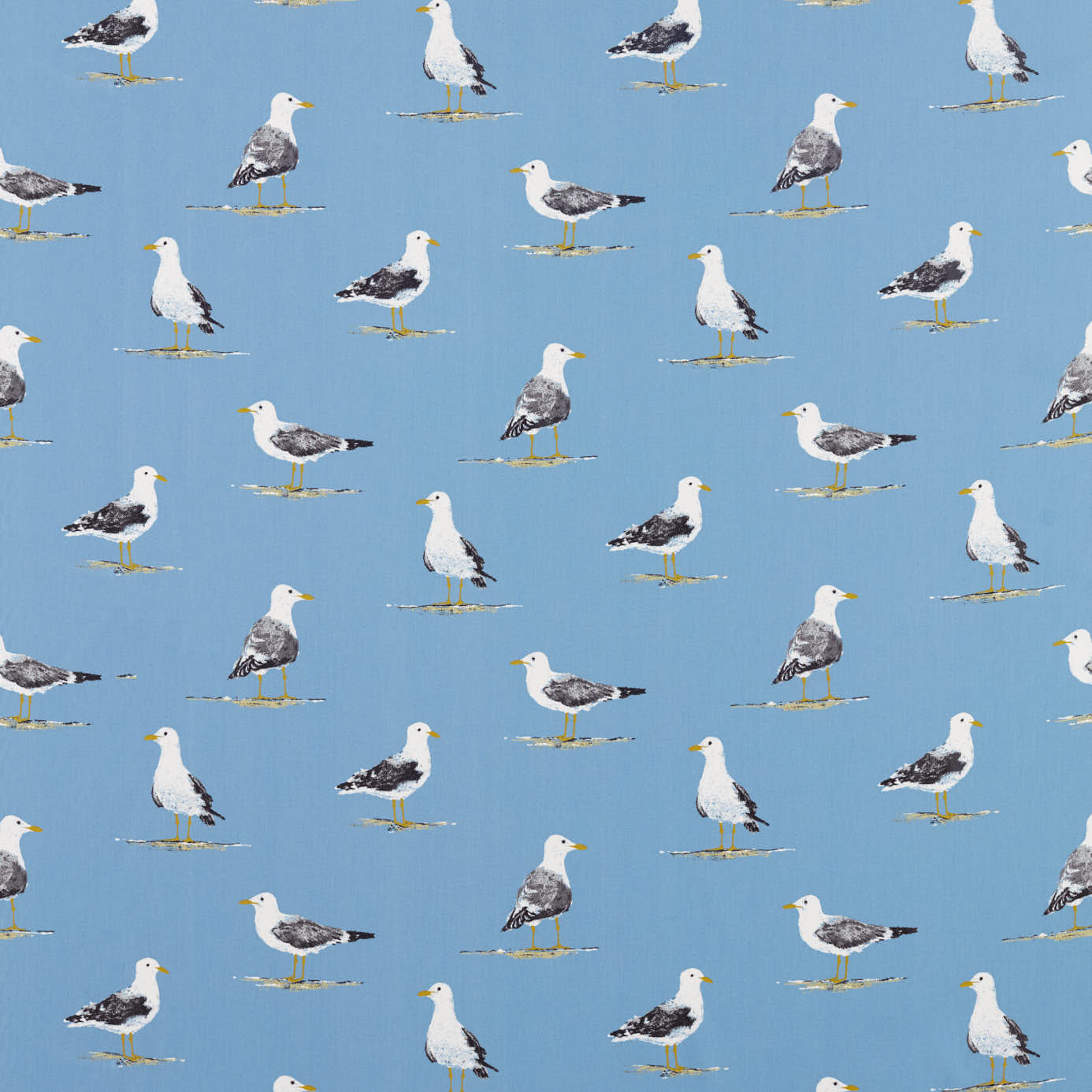 Shore Birds - Marine