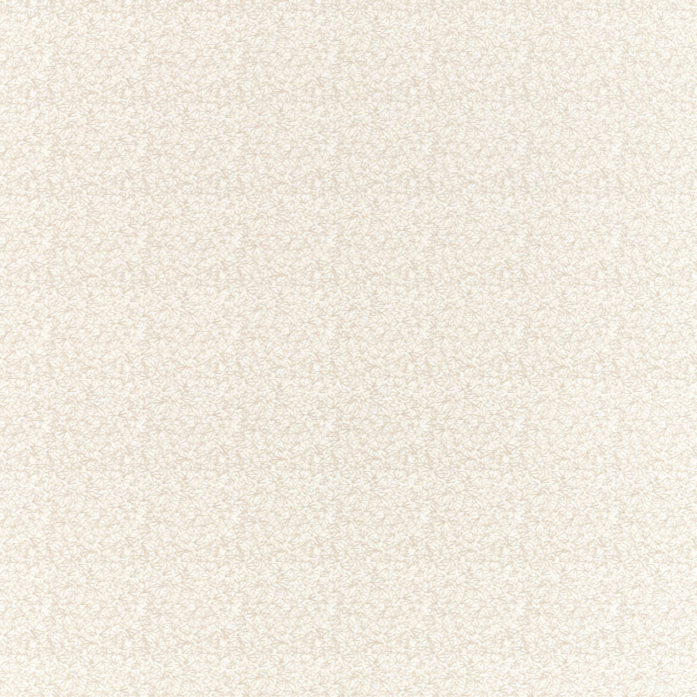 Bird Feet - Driftwood