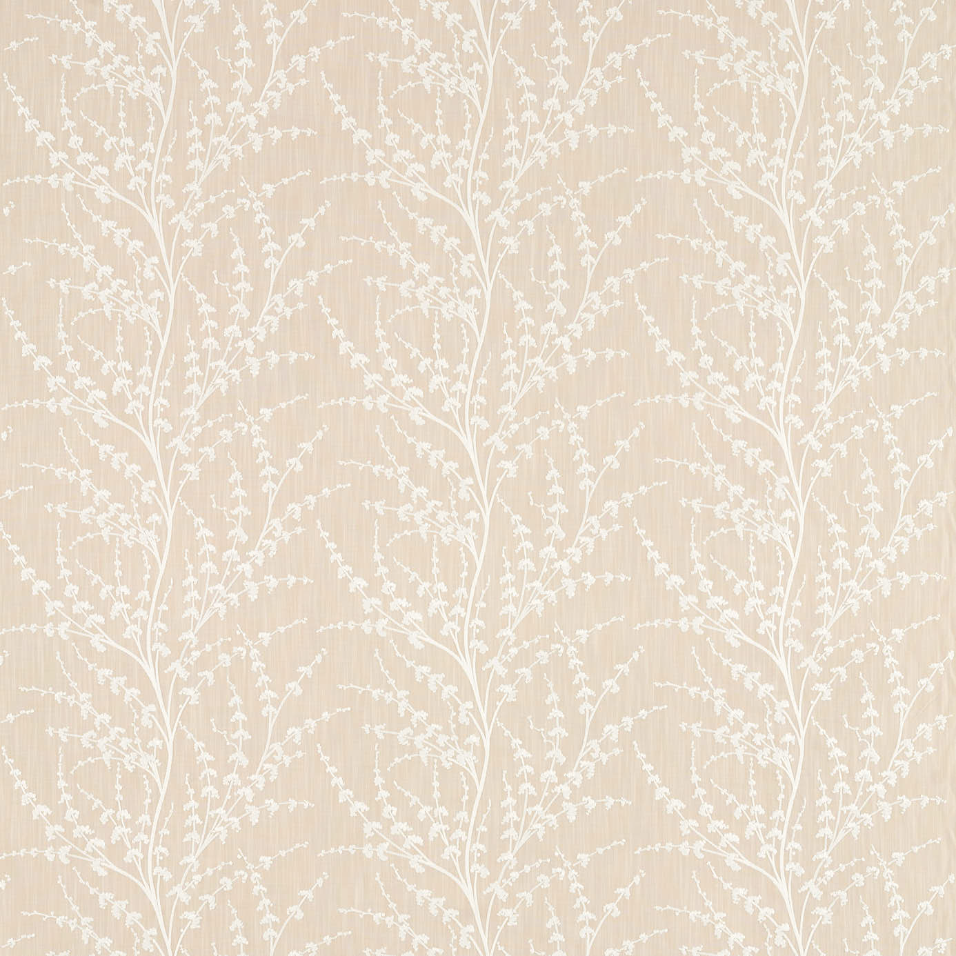 Armeria Trail - Driftwood