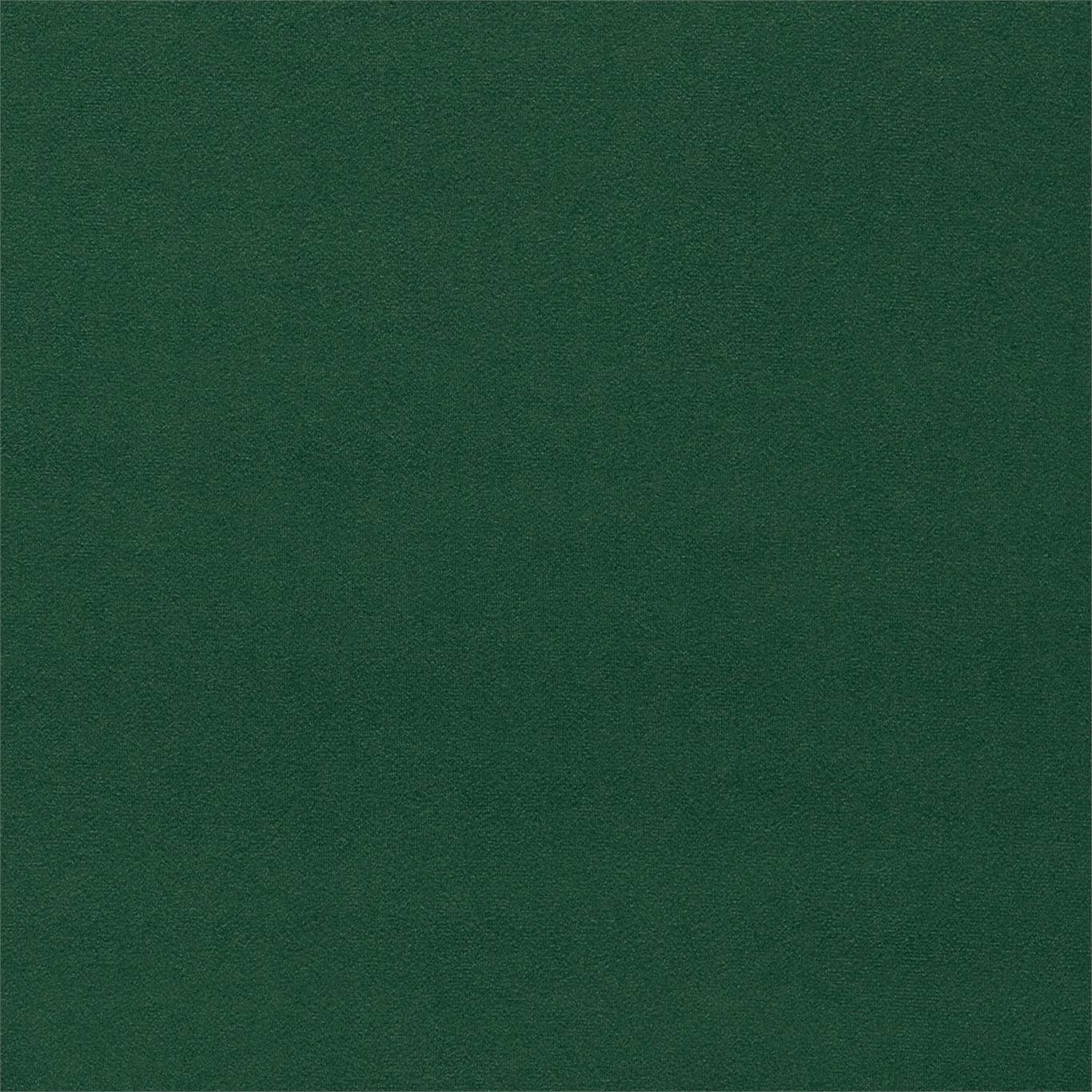 Dorton - Dorton Cactus