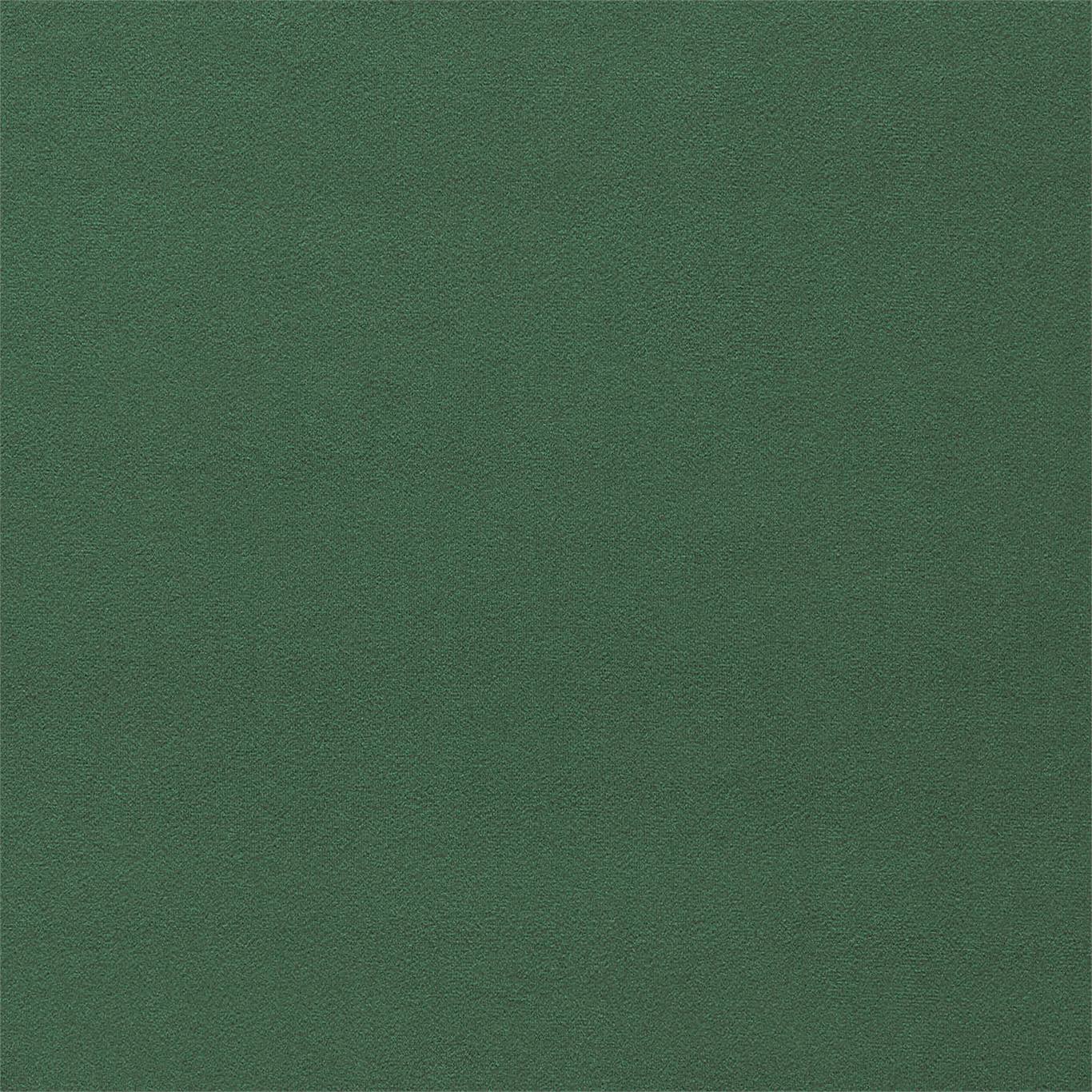 Dorton - Dorton Sage