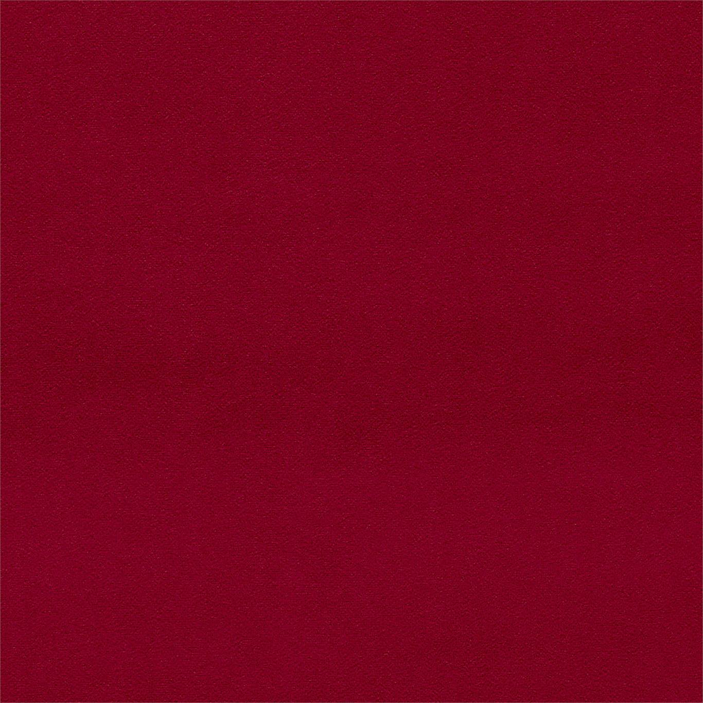 Dorton - Dorton Claret