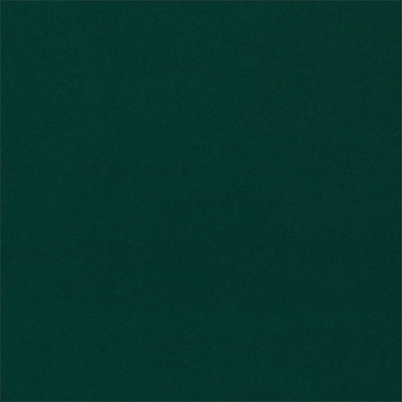 Dorton - Dorton Forest