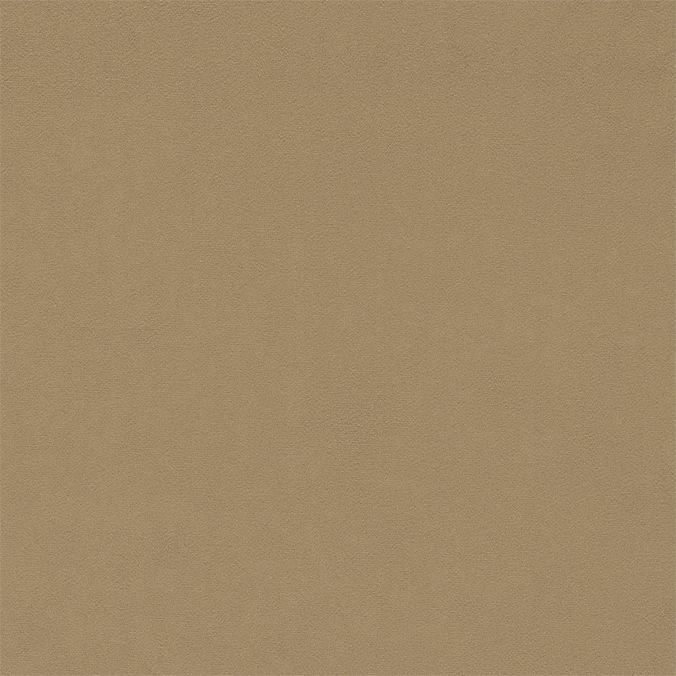 Dorton - Dorton Pumice