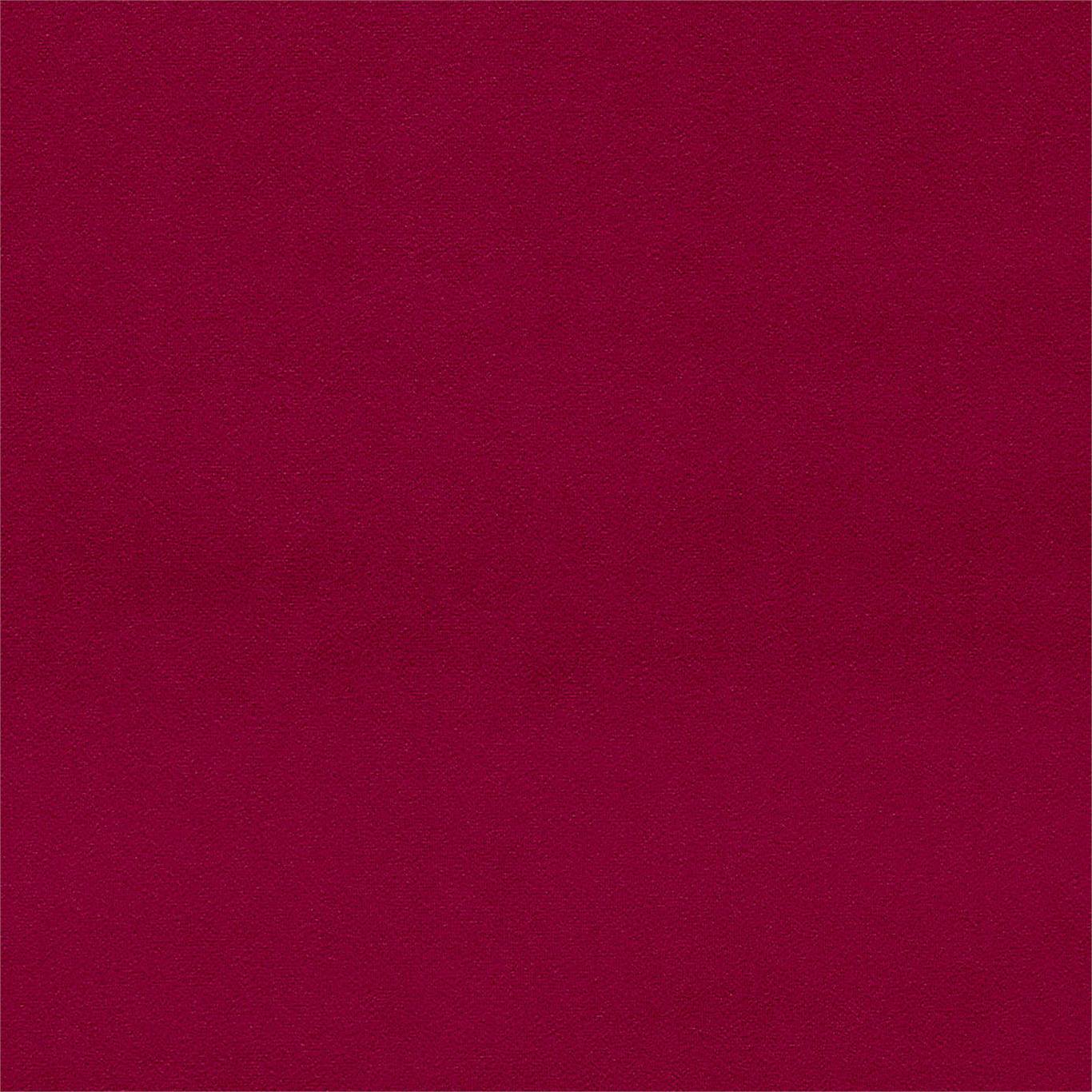 Dorton - Dorton Fuschia