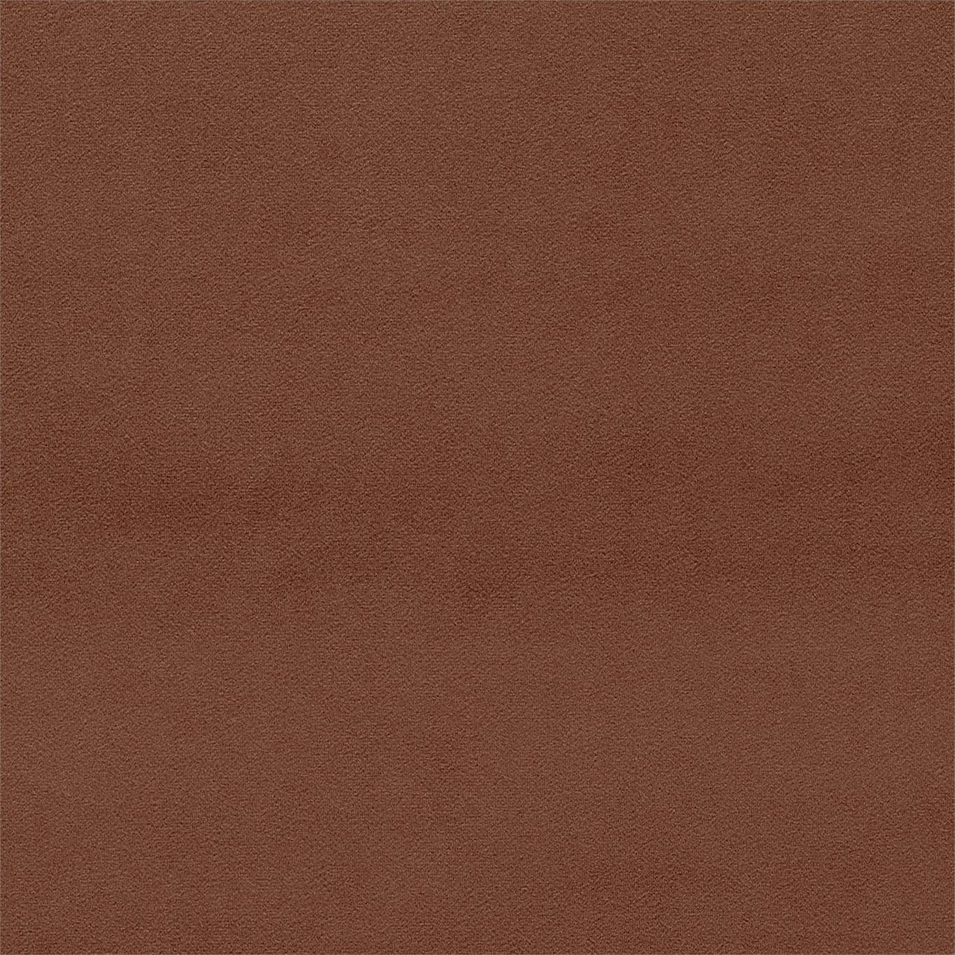 Dorton - Dorton Chesnut