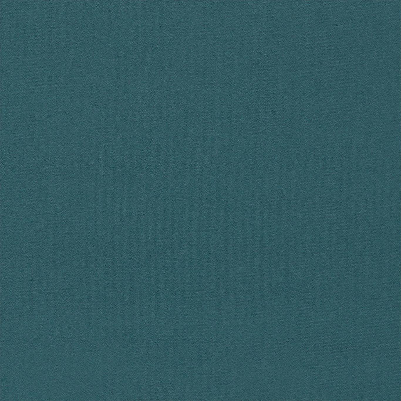 Dorton - Dorton Kingfisher