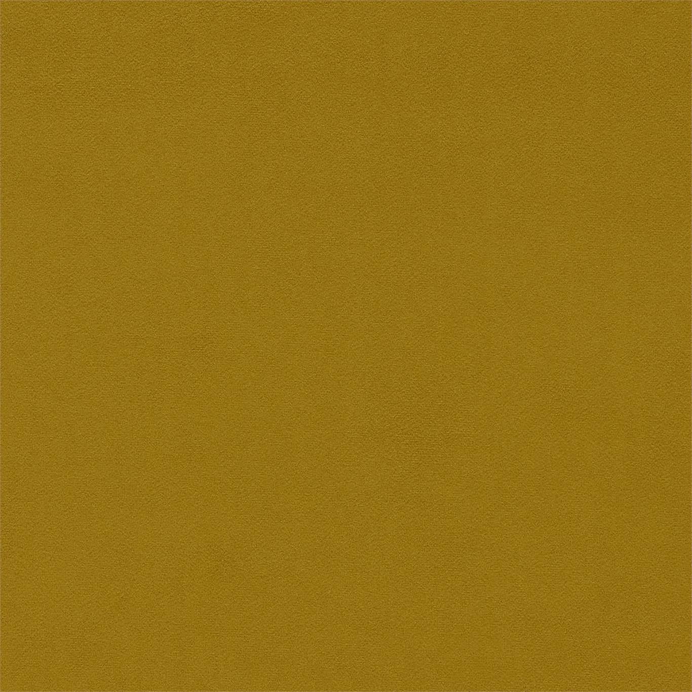 Dorton - Dorton Olive