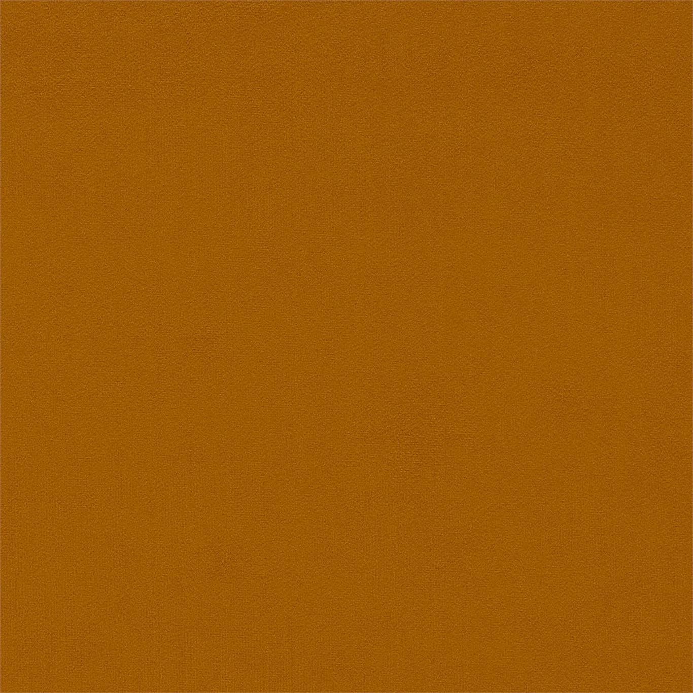 Dorton - Dorton Mango