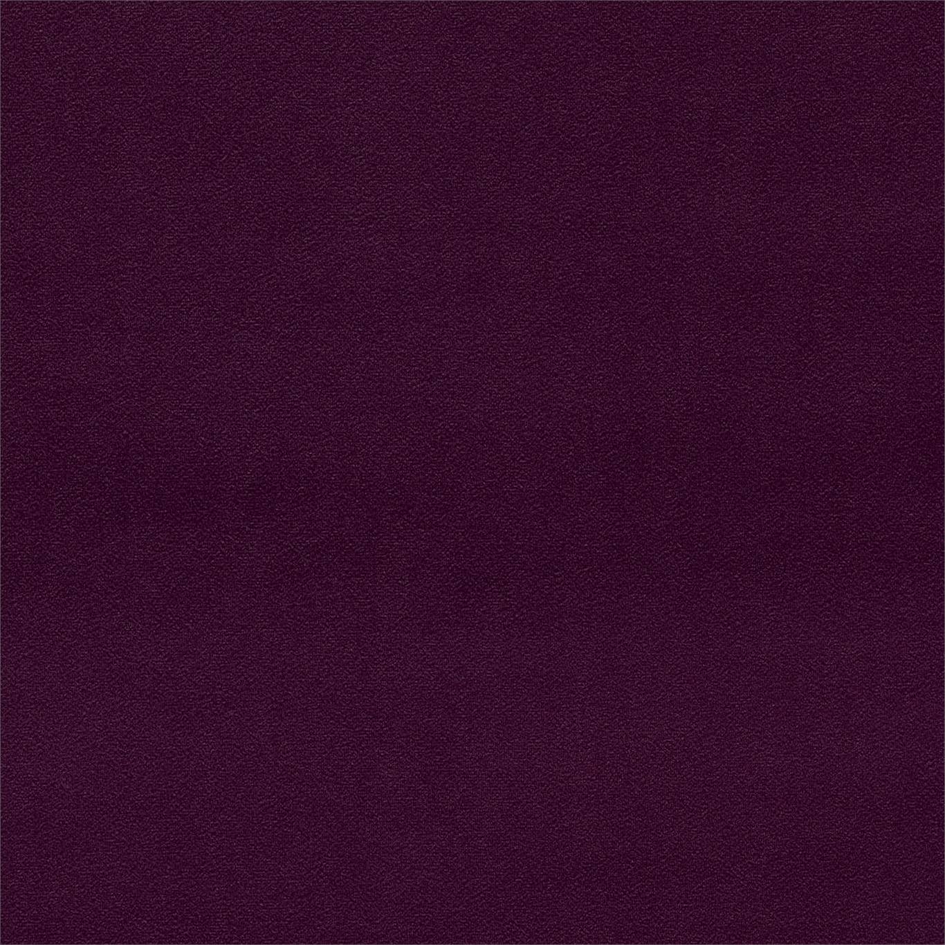 Dorton - Dorton Aubergine