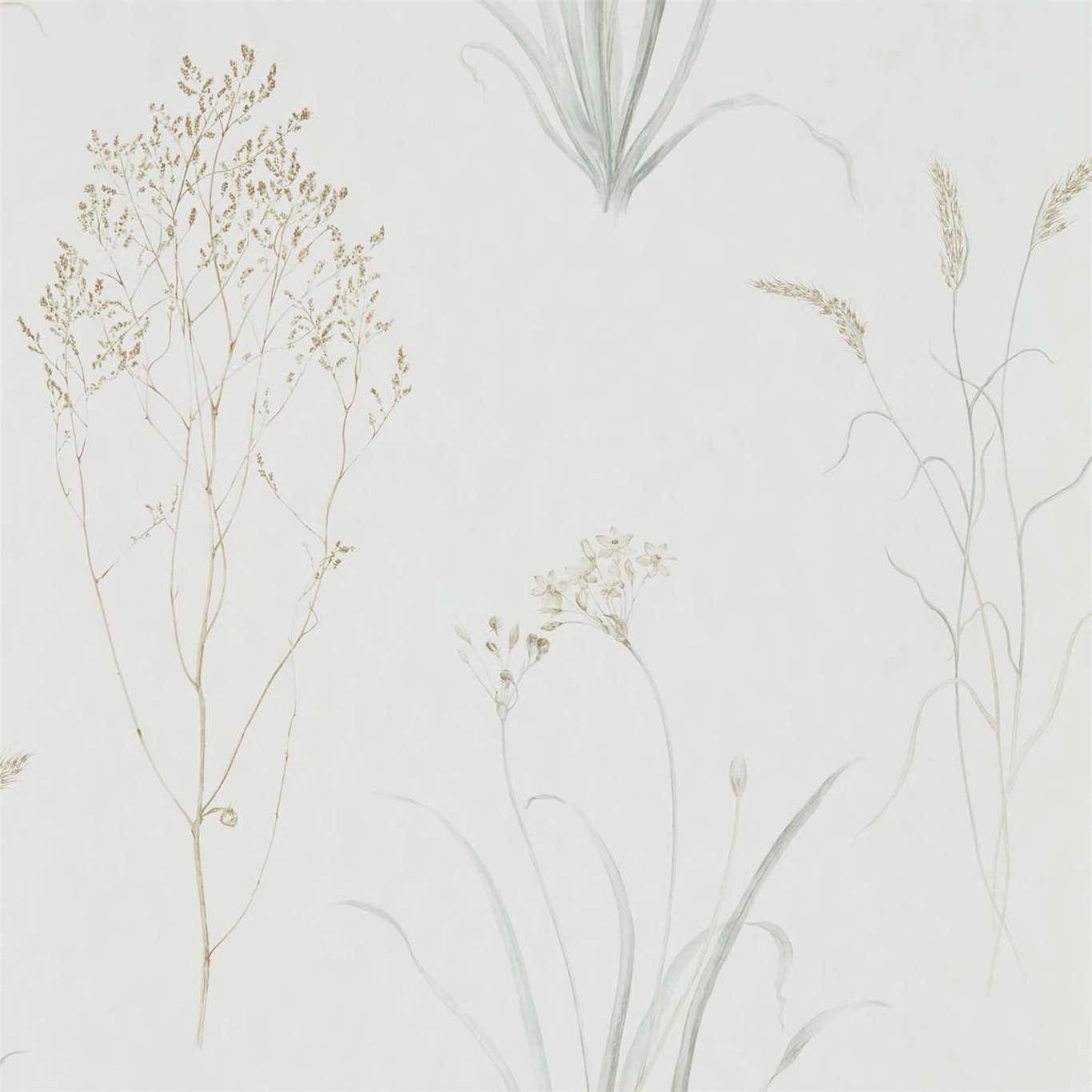 Farne Grasses - Silver / Ivory