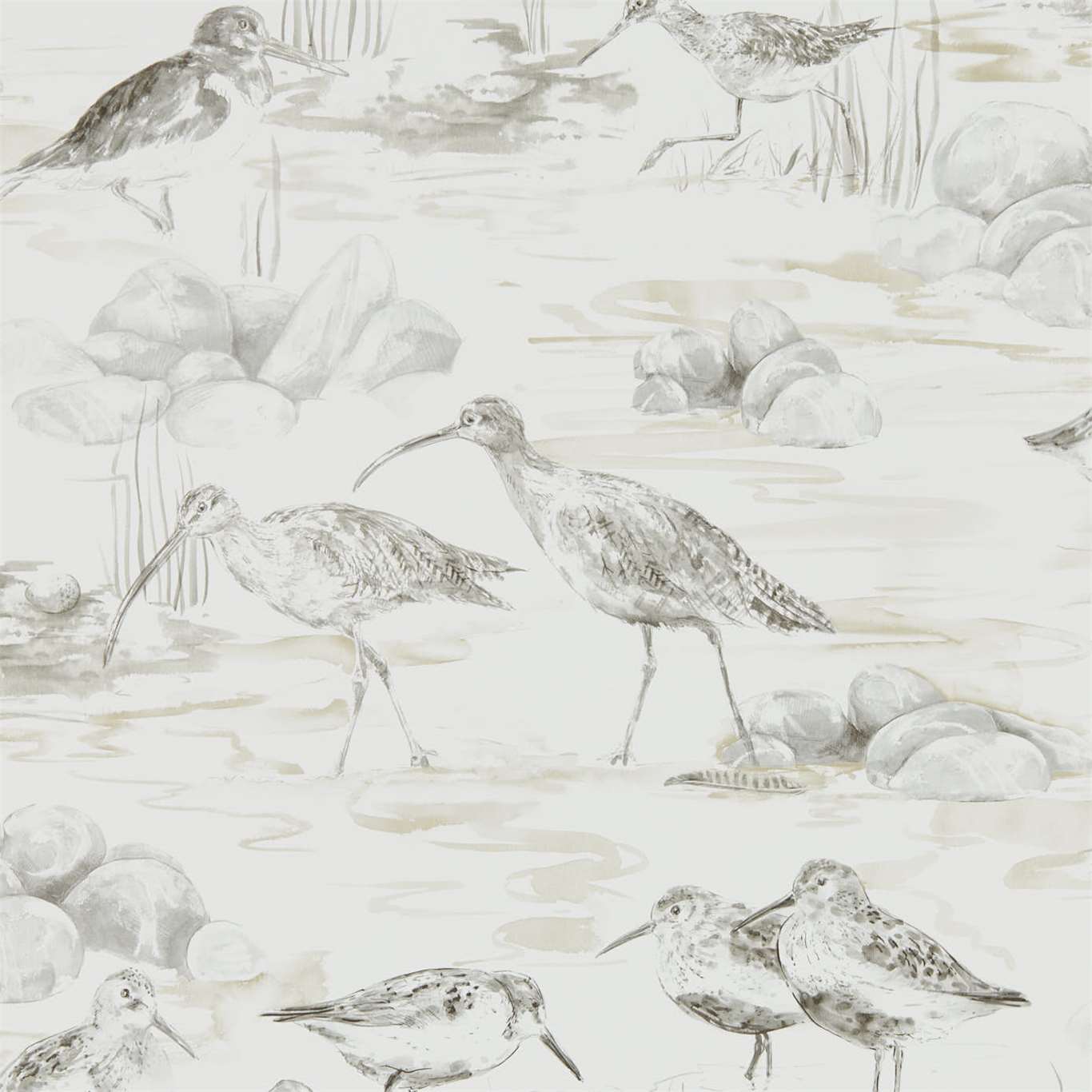 Estuary Birds - Chalk / Sepia