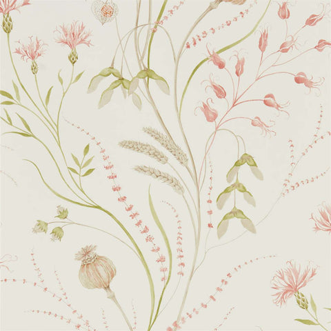 Summer Harvest - Claret / Olive
