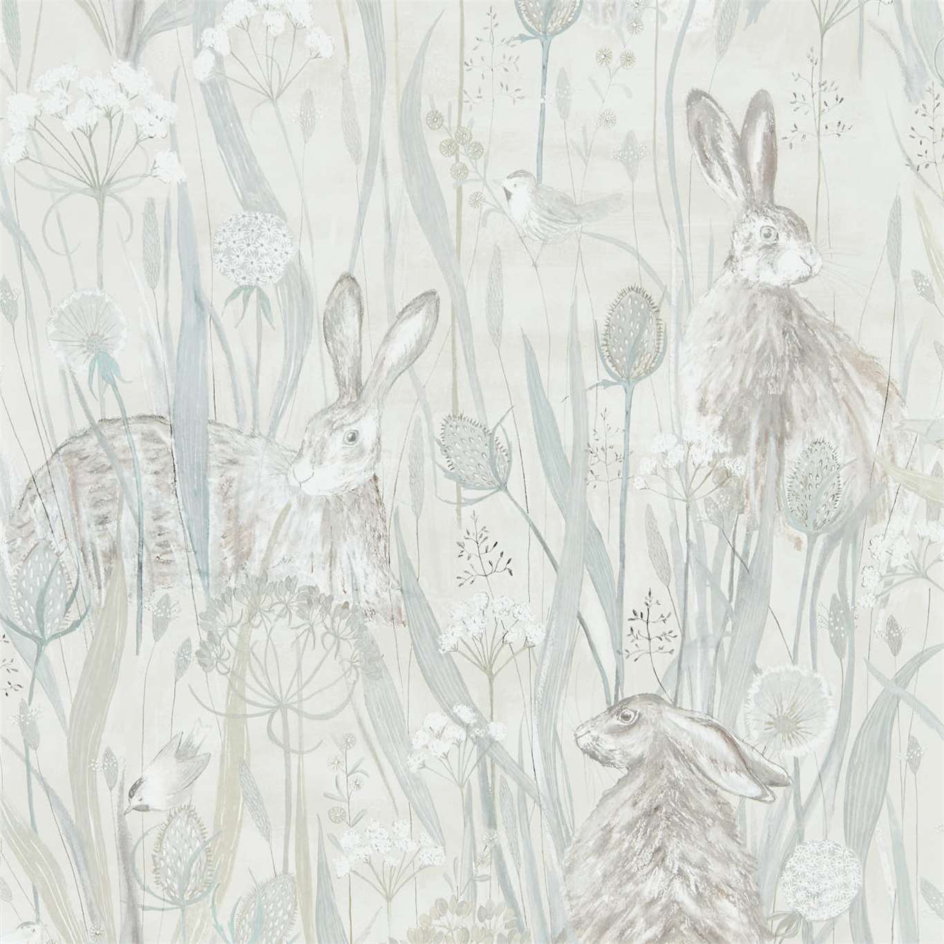 Dune Hares - Mist / Pebble
