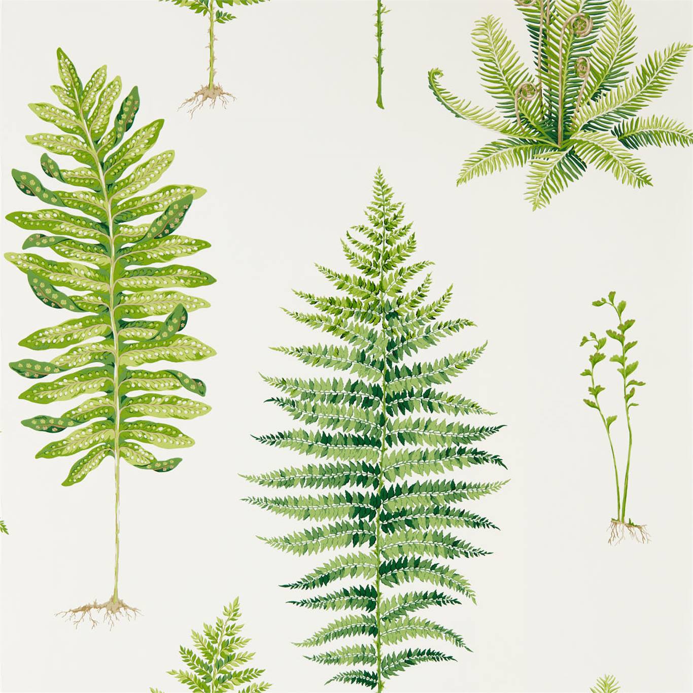 Fernery - Botanical Green