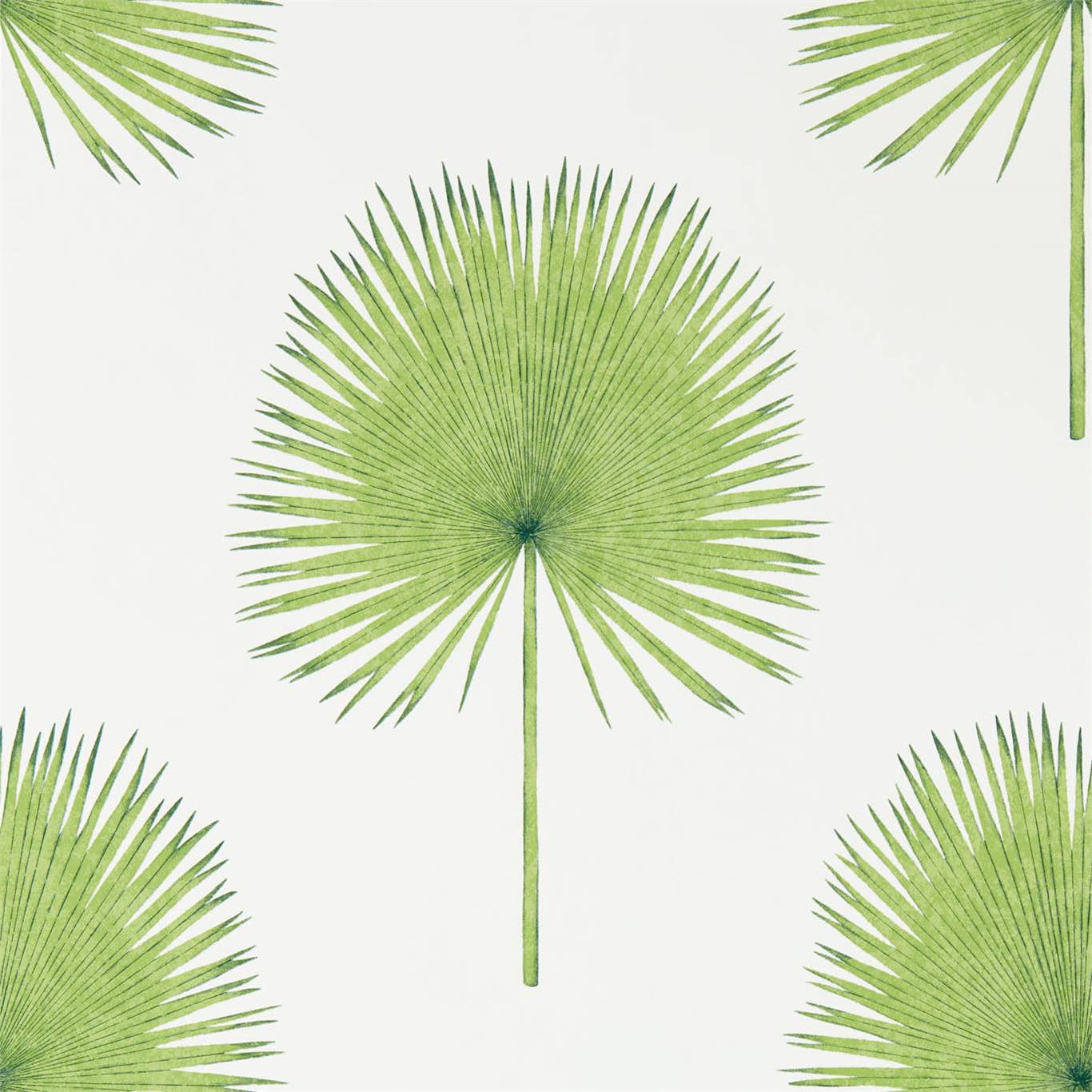 Fan Palm - Botanical Green