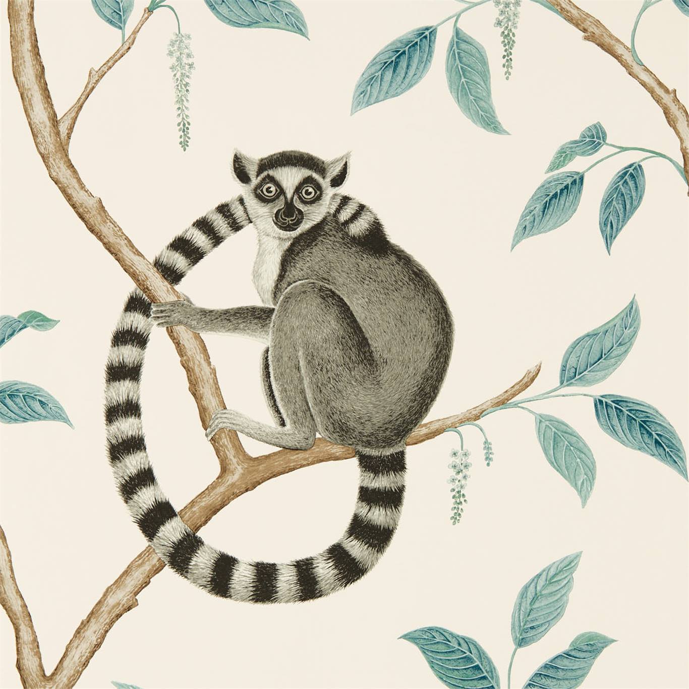 Ringtailed Lemur - Ringtailed Lemur Stone / Eucalyptus