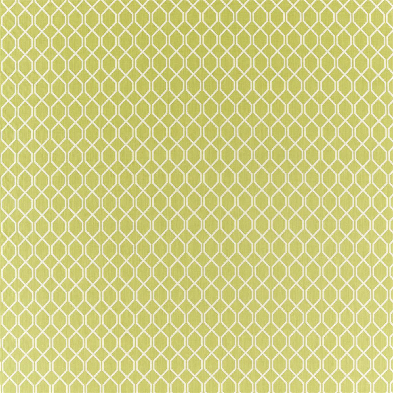 Botanic Trellis - Lime