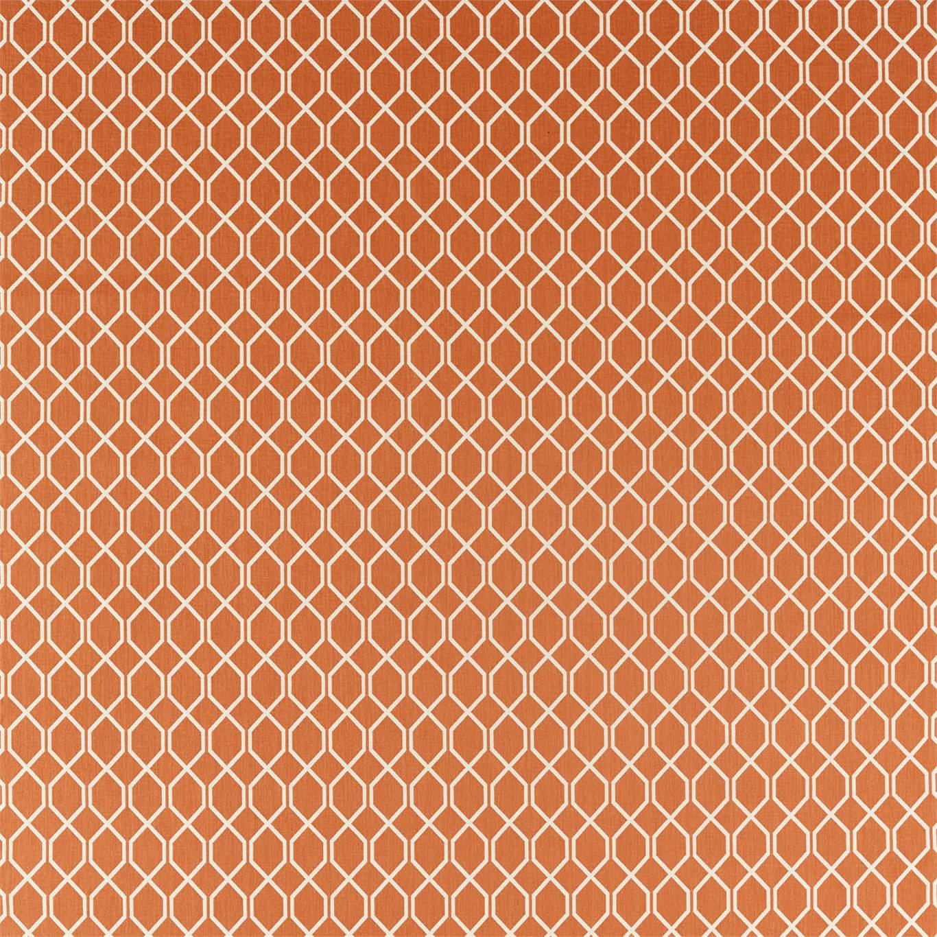 Botanic Trellis - Papaya