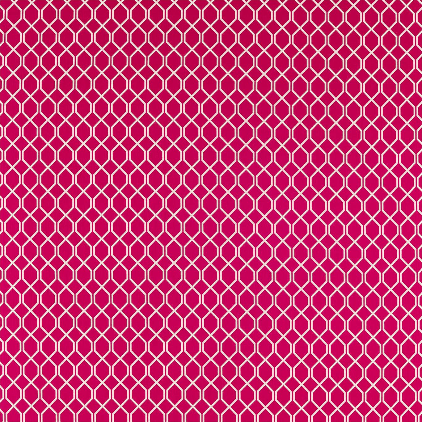 Botanic Trellis - Rhodera