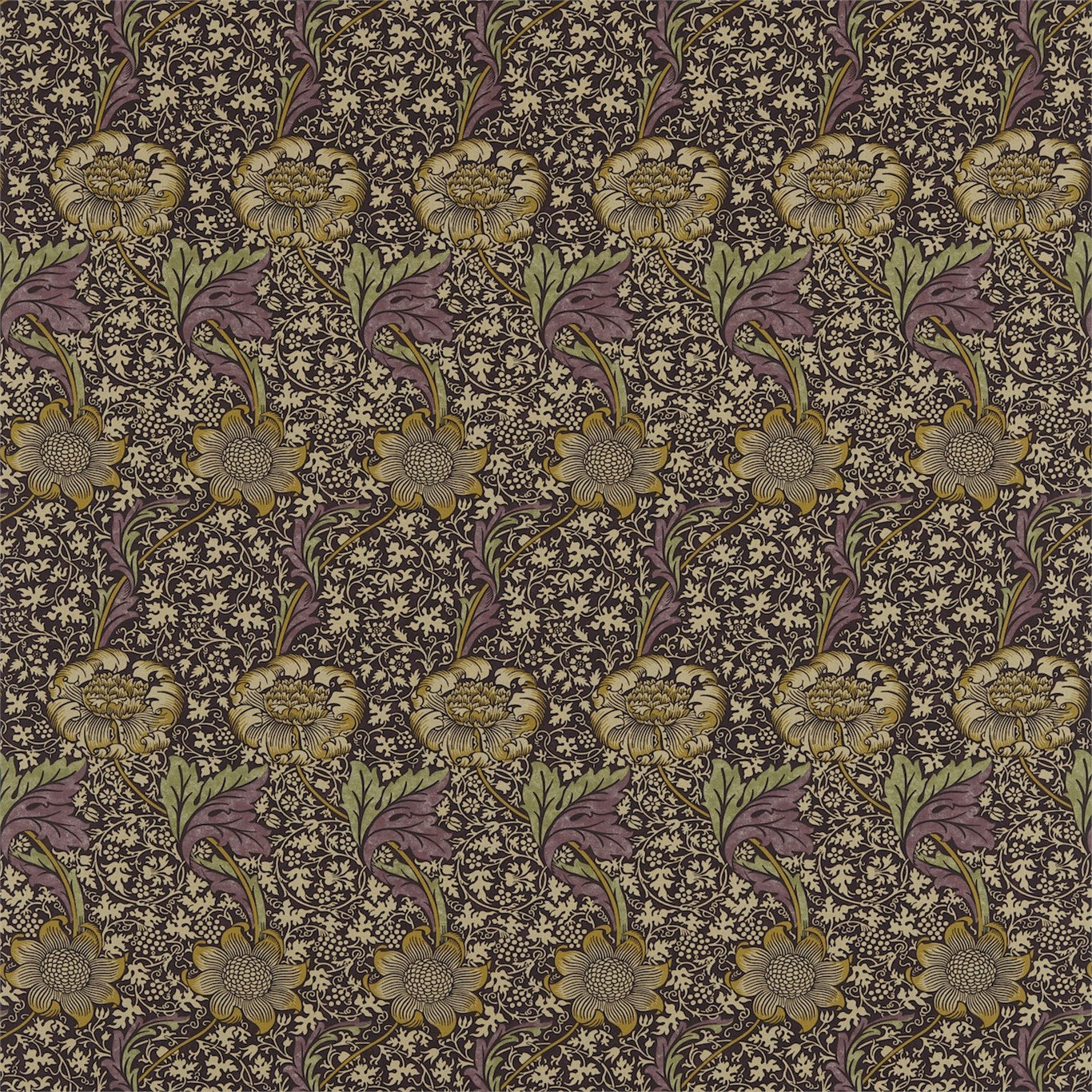 Kennet - Grape / Gold