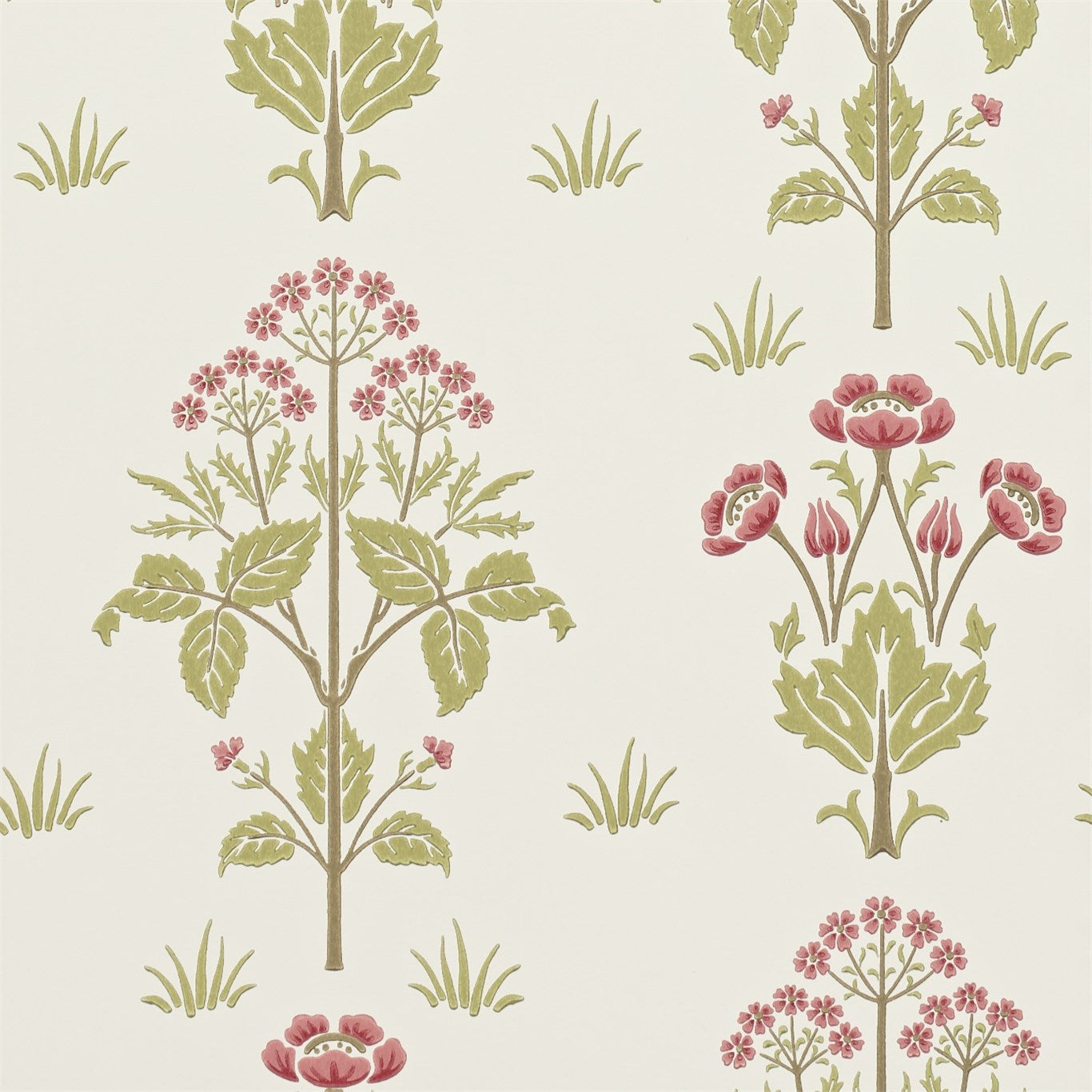 Meadow Sweet - Rose / Olive