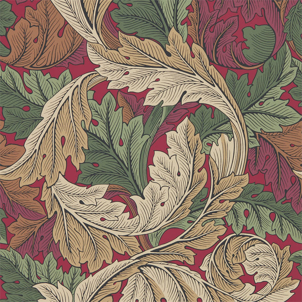 Acanthus - Madder / Thyme