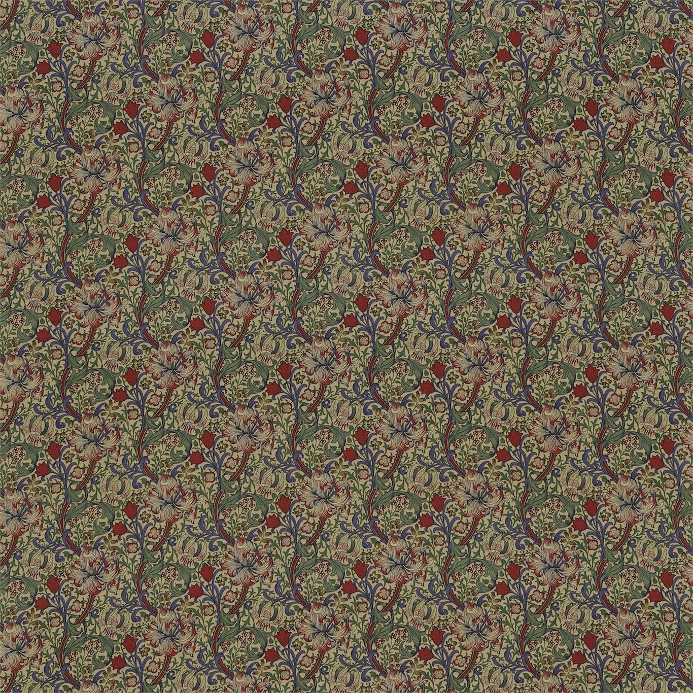 Golden Lily Minor - Biscuit / Indigo / Red