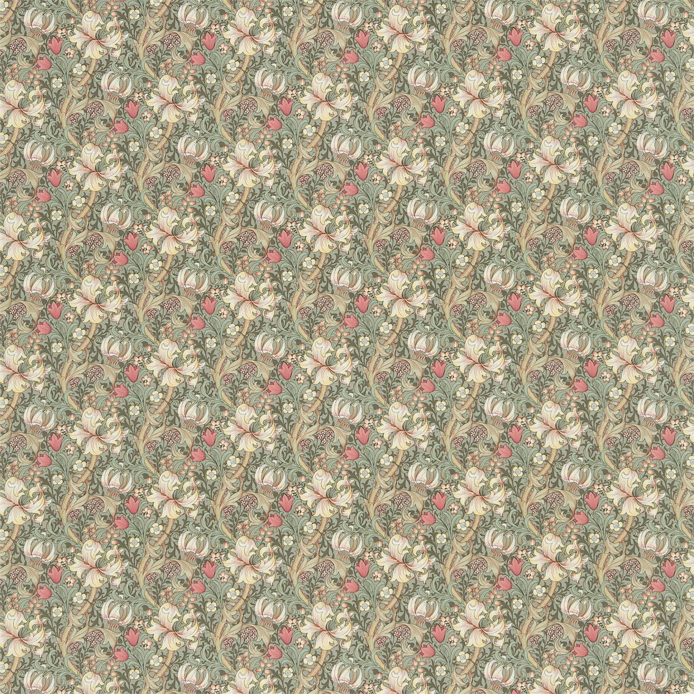 Golden Lily Minor - Artichoke / Vanilla