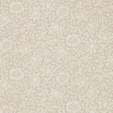Mallow - Dusky Rose